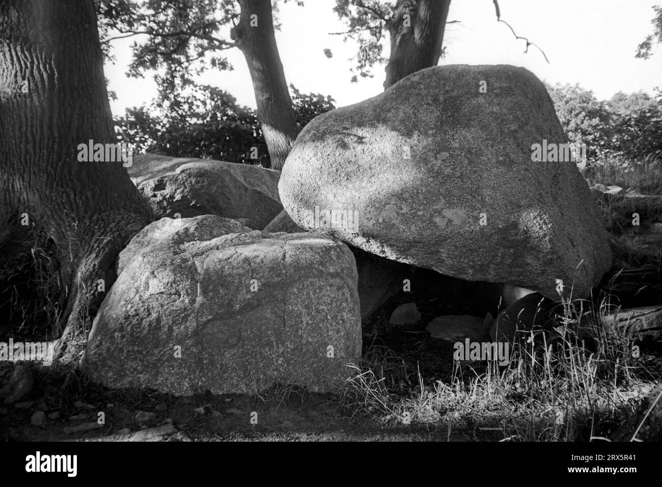 Tombes mégalithiques sur l'île de Ruegen, près de Neu Reddevitz, Mecklembourg-Poméranie occidentale Banque D'Images