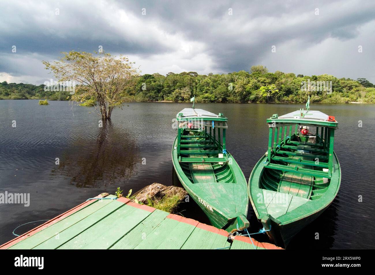 Bateaux d'excursion sur Rio Taruma, à Amazon Eco Lodge, Manaus, Amazonas State, Brésil Banque D'Images