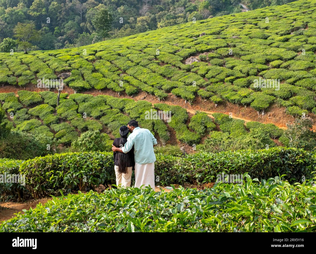 Couple indien à la plantation Chithrapuram près de Munnar, Kerala, Inde Banque D'Images