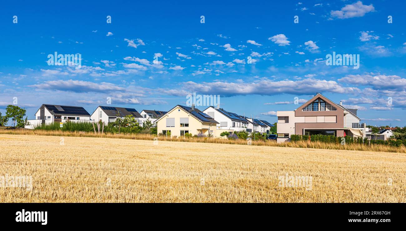 Allemagne, Bade-Wurttemberg, Waiblingen, champ d'été avec maisons de banlieue en arrière-plan Banque D'Images