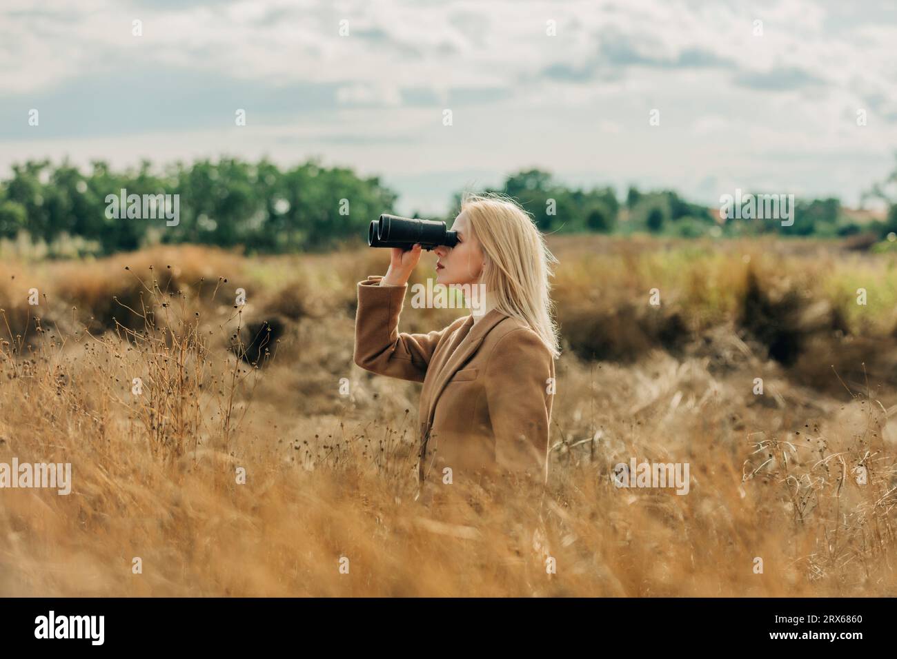 Femme blonde regardant à travers des jumelles dans le champ de blé Banque D'Images