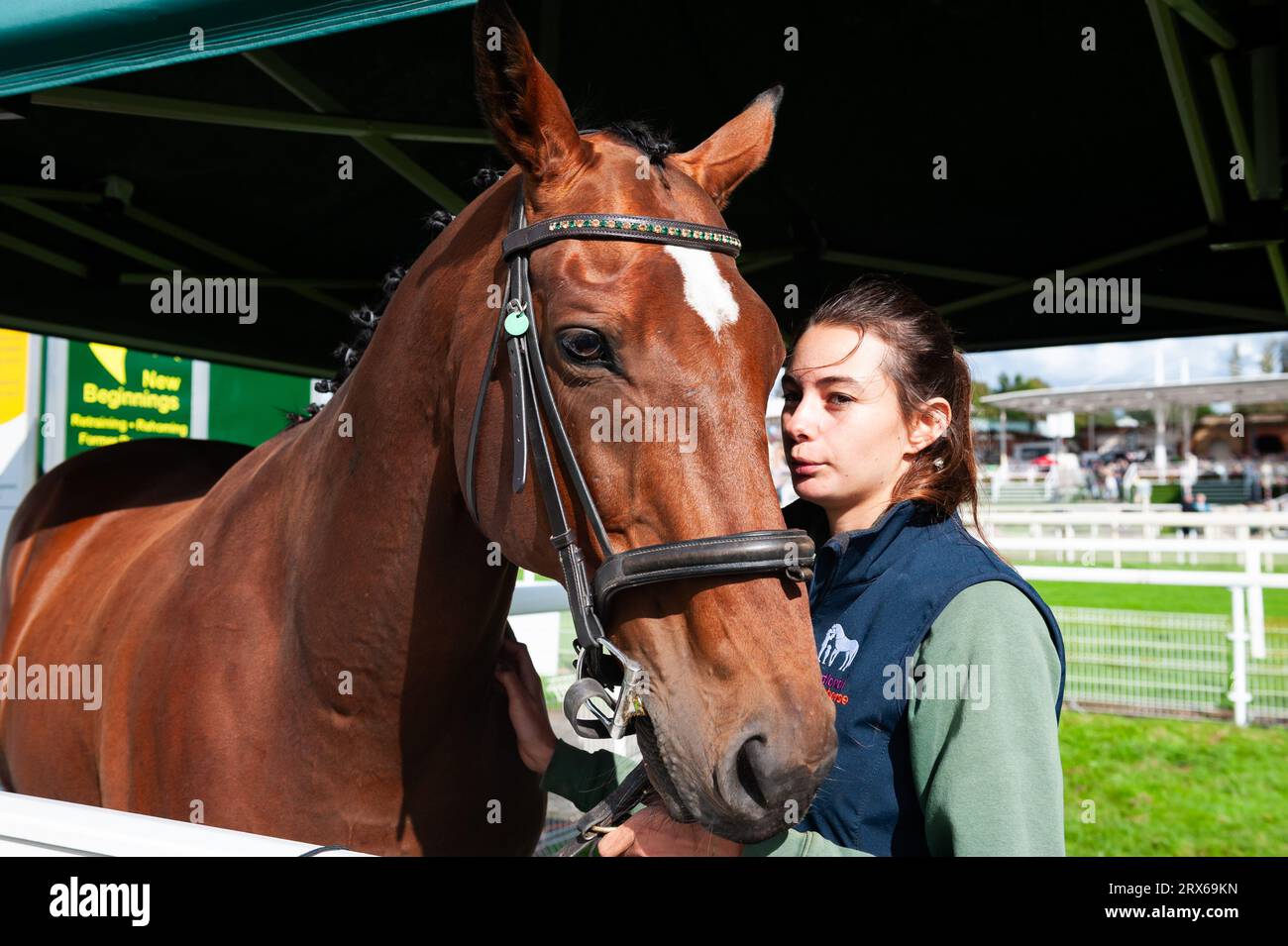 York Racecourse, York, Royaume-Uni, samedi 23 septembre 2023 ; York, Royaume-Uni. 23 septembre 2023. Le stand « New Beginnings » à l'hippodrome de York, où le public peut interagir avec des chevaux de course retraités et en apprendre davantage sur l'association caritative. Crédit : JTW Equine Images/Alamy Live News crédit : JTW Equine Images/Alamy Live News Banque D'Images