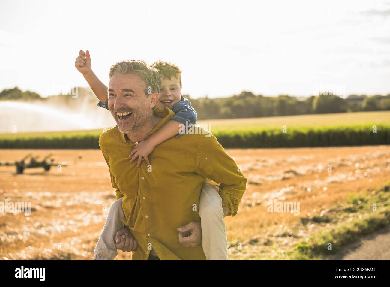 Homme joyeux portant petit-fils piggyback par le champ Banque D'Images