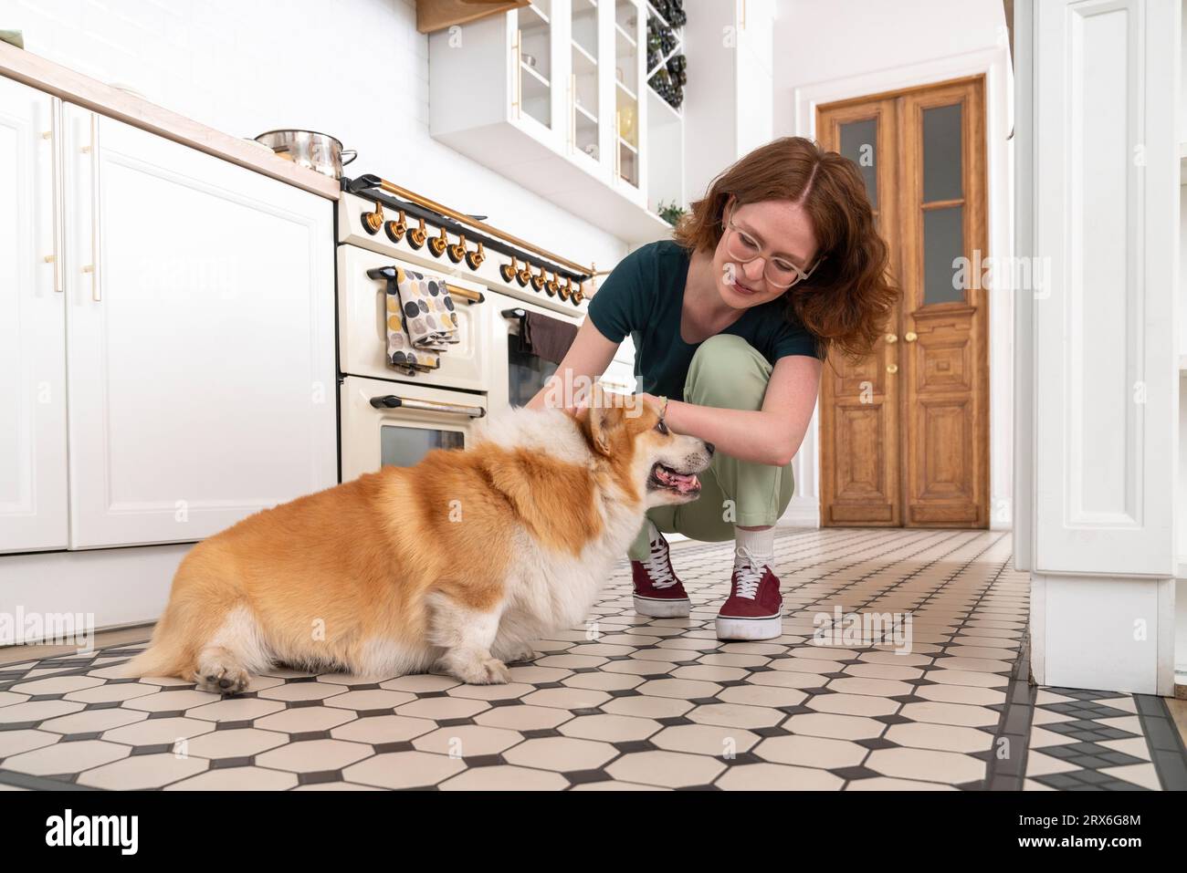 Jeune femme caressant Pembroke Welsh Corgi chien dans la cuisine Banque D'Images