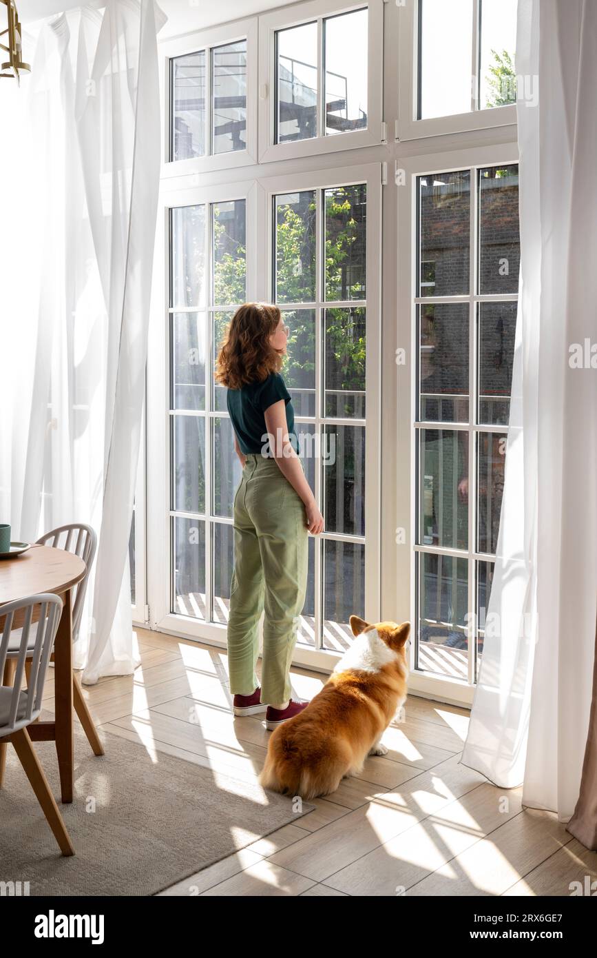 Femme et chien gallois Corgi regardant par la fenêtre à la maison Banque D'Images