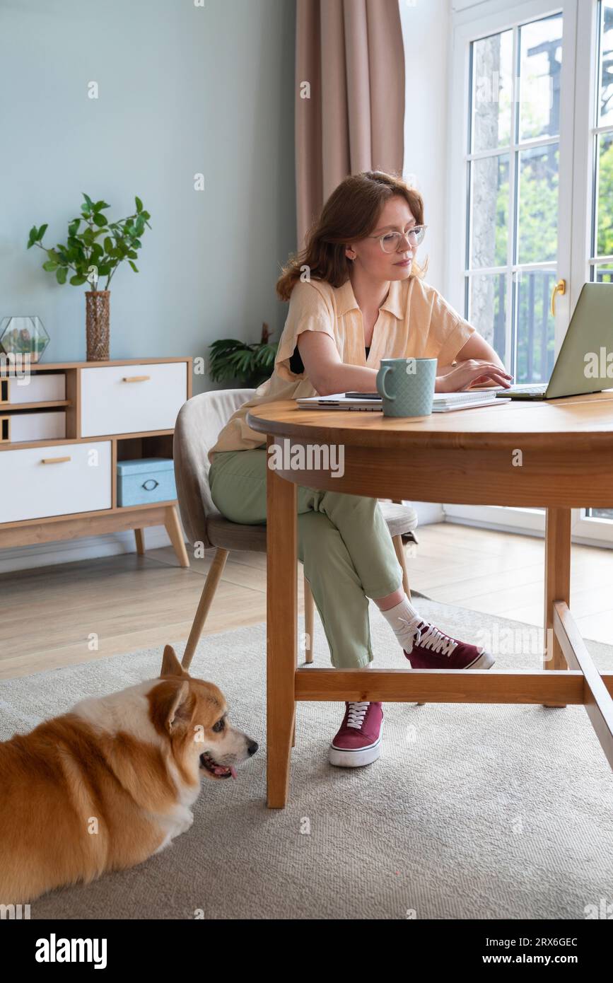 Jeune freelance utilisant un ordinateur portable assis par un chien dans le salon Banque D'Images