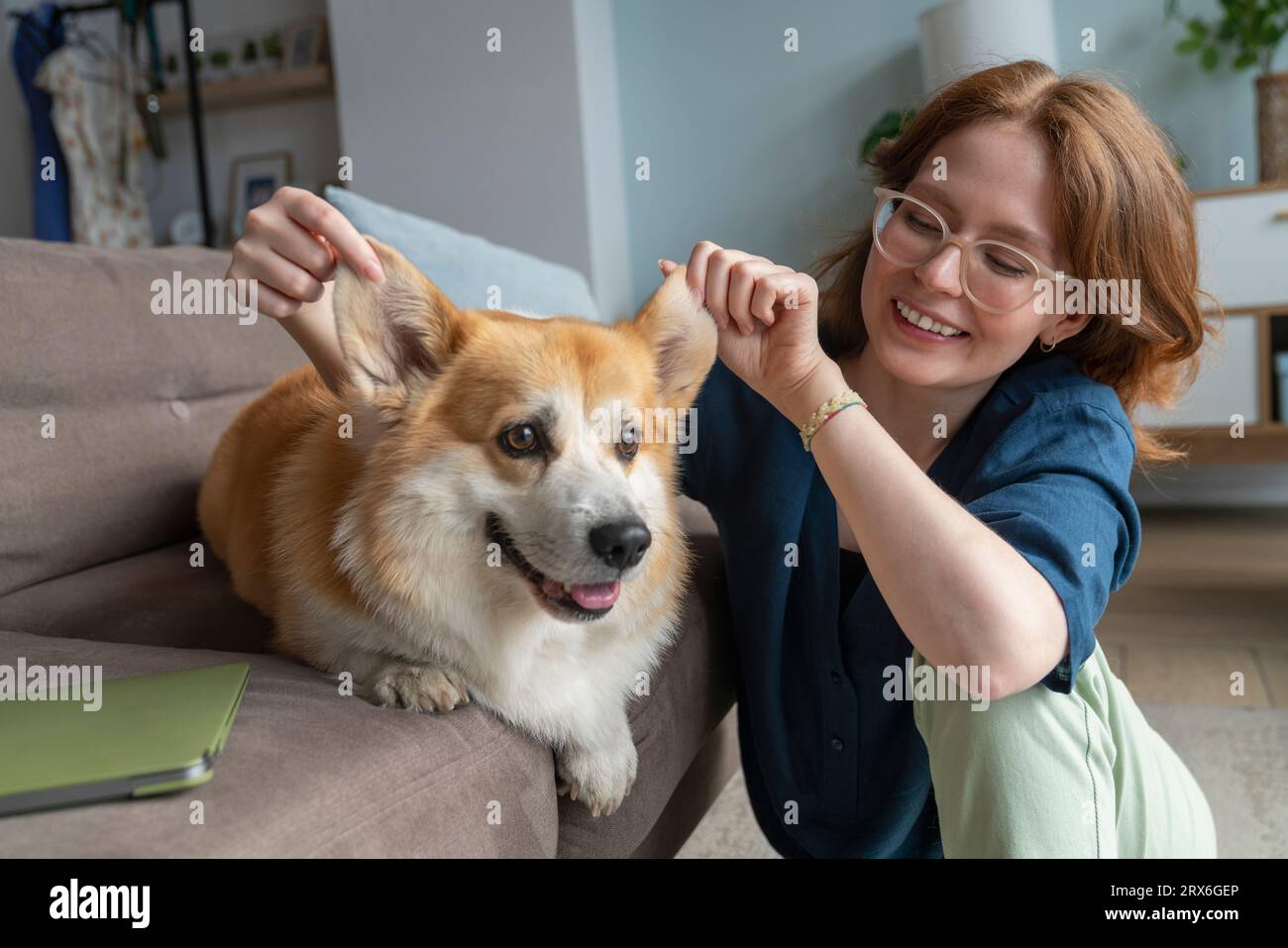 Femme souriante soulevant les oreilles de chien d'animal de compagnie dans le salon Banque D'Images