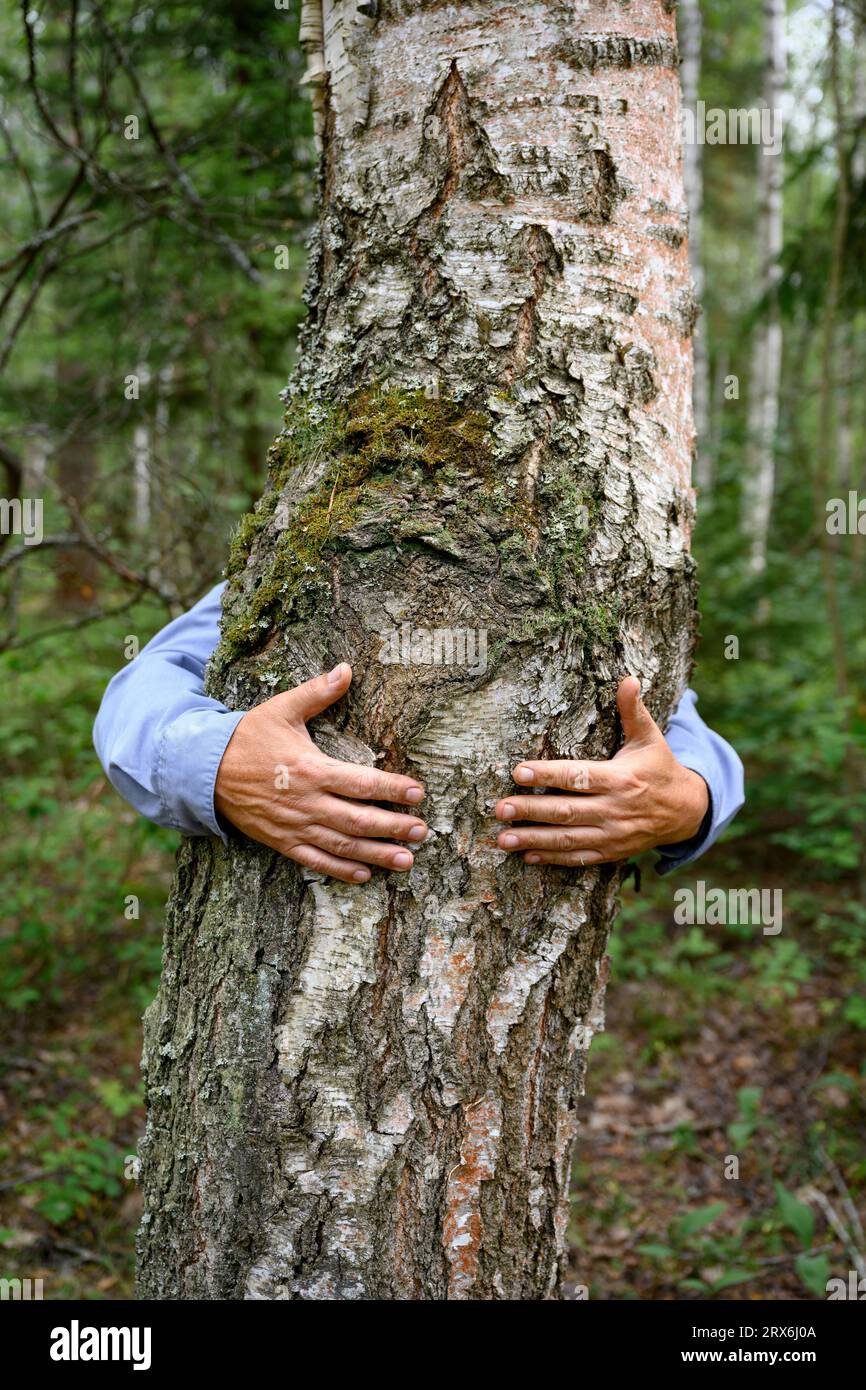 Les mains d'un homme âgé serrant l'arbre dans la forêt Banque D'Images