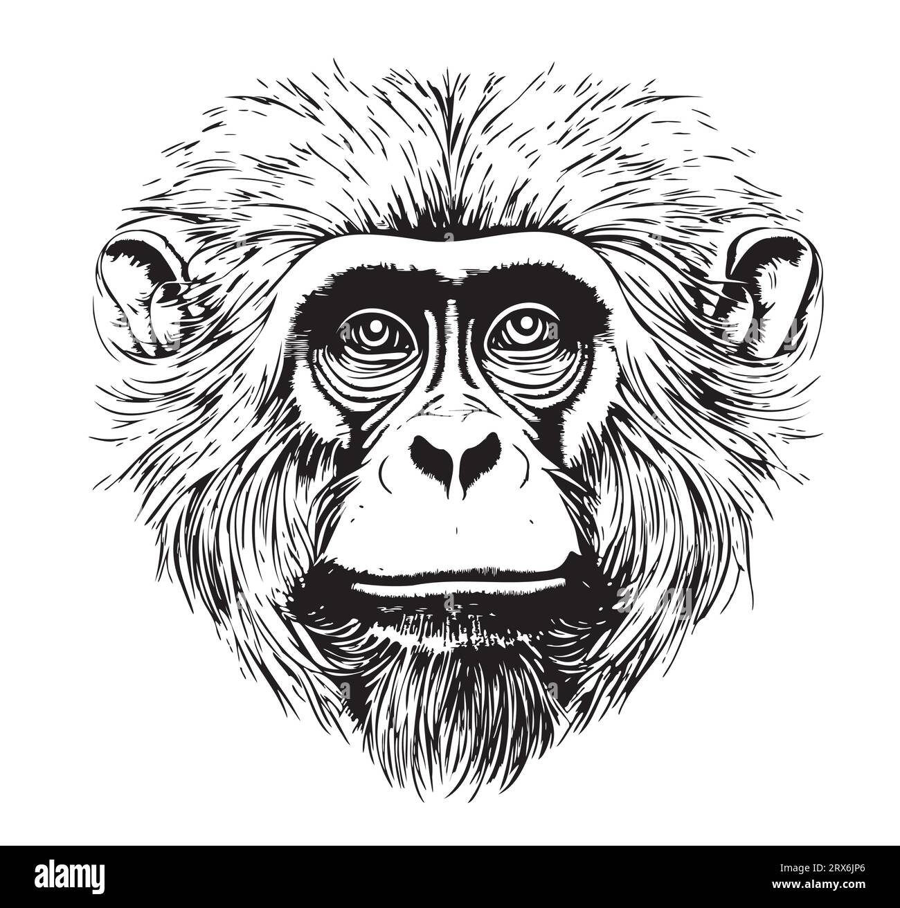 Croquis portrait de singe dessiné à la main Vector Wild animaux intelligents Illustration de Vecteur