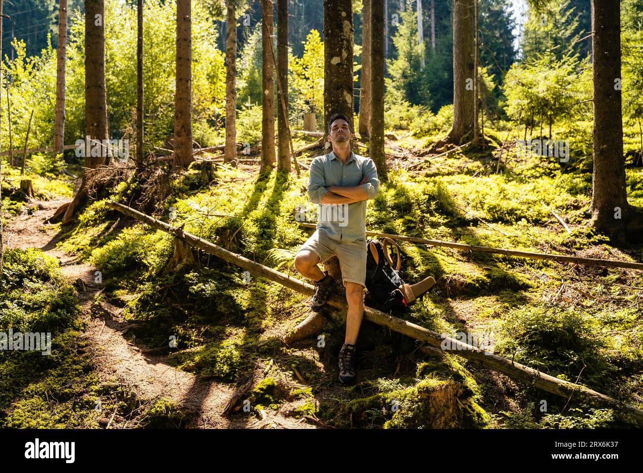 Homme avec les bras croisés s'inclinant sur l'arbre dans la forêt Banque D'Images