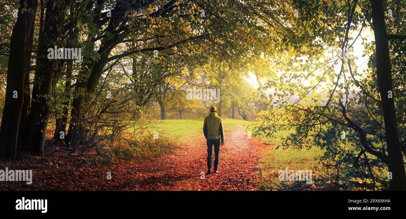 Randonneur marchant hors de la forêt dans le paysage ouvert, une scène de loisirs en automne avec une belle lumière et la végétation Banque D'Images