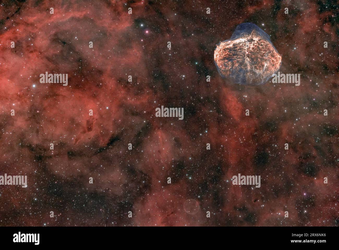 Nébuleuse du croissant (Caldwell 27) dans la constellation du Cygne Banque D'Images