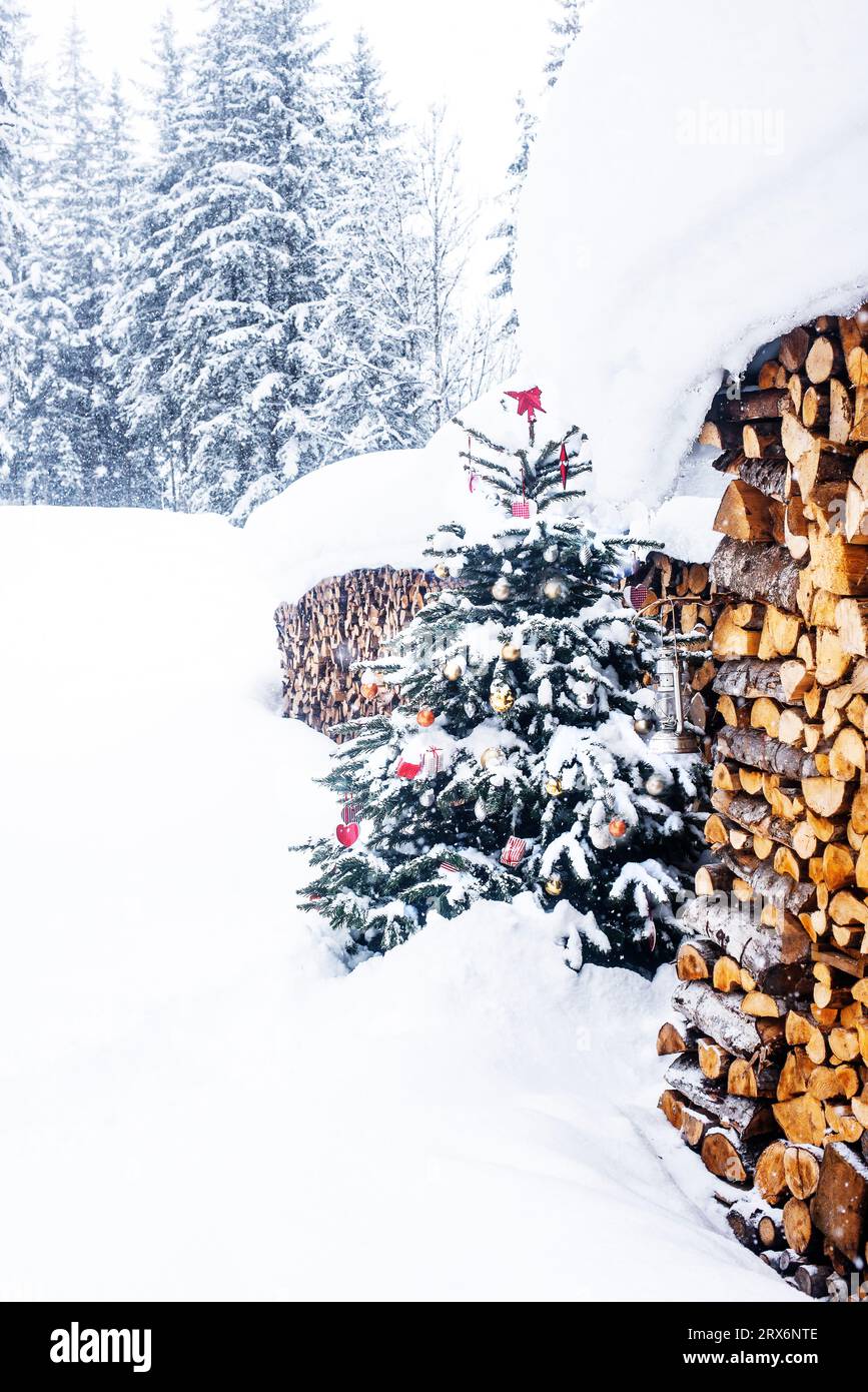 Arbre de Noël près de bois de feu dans la neige Banque D'Images