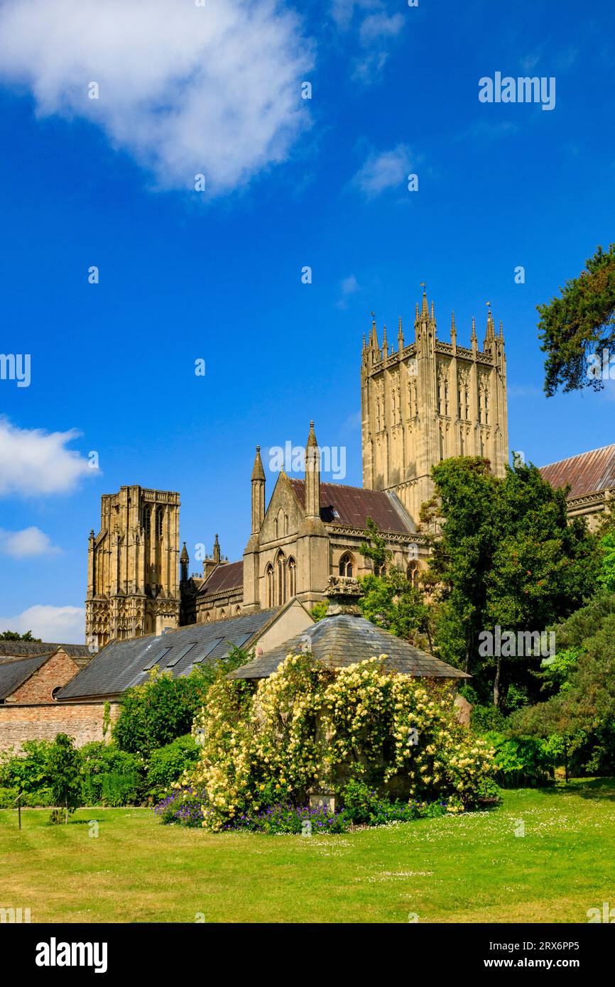La magnifique cathédrale vue de l'intérieur des jardins du palais épiscopal à Wells, Somerset, Angleterre, Royaume-Uni Banque D'Images
