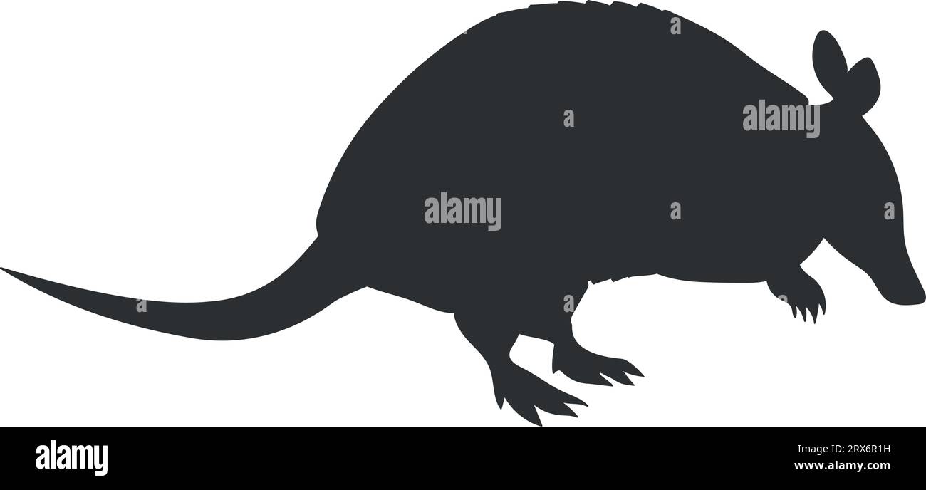 Silhouette animale Armadillo isolée sur fond blanc. Illustration vectorielle Illustration de Vecteur Silhouette animale Armadillo isolée sur fond blanc. Illustration vectorielle Illustration de Vecteur