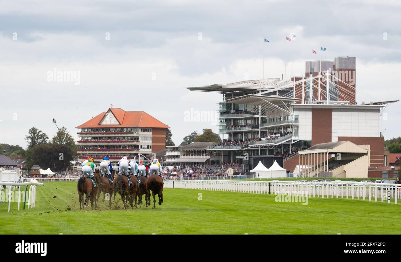 York Racecourse, York, Royaume-Uni, samedi 23 septembre 2023 ; le terrain se tourne vers la maison dans les jigsawbranding.co.uk Stakes le jour de course d'automne à York Racecourse, samedi 23 septembre 2023. Crédit : JTW Equine Images/Alamy Live News Banque D'Images