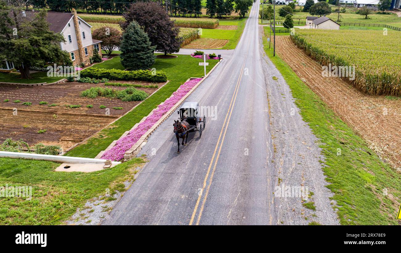 Une vue aérienne d'un cheval Amish et Buggy Voyage sur une route de campagne, passant Corn Fields et Home Garden, avec des fleurs roses, sur une journée ensoleillée Banque D'Images