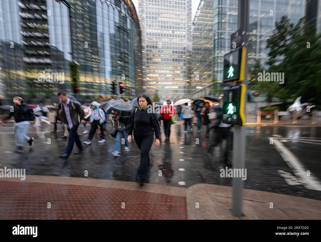 Canary Wharf, Londres, Royaume-Uni : les gens traversant la route aux feux de circulation à Canary Wharf avec flou de mouvement. Les gens tiennent des parapluies sous la pluie. Banque D'Images