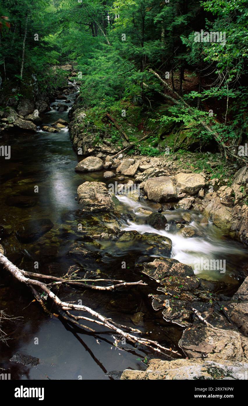 East Fork Ausable River, Adirondack Mountain Reserve, Adirondack Park, New York Banque D'Images