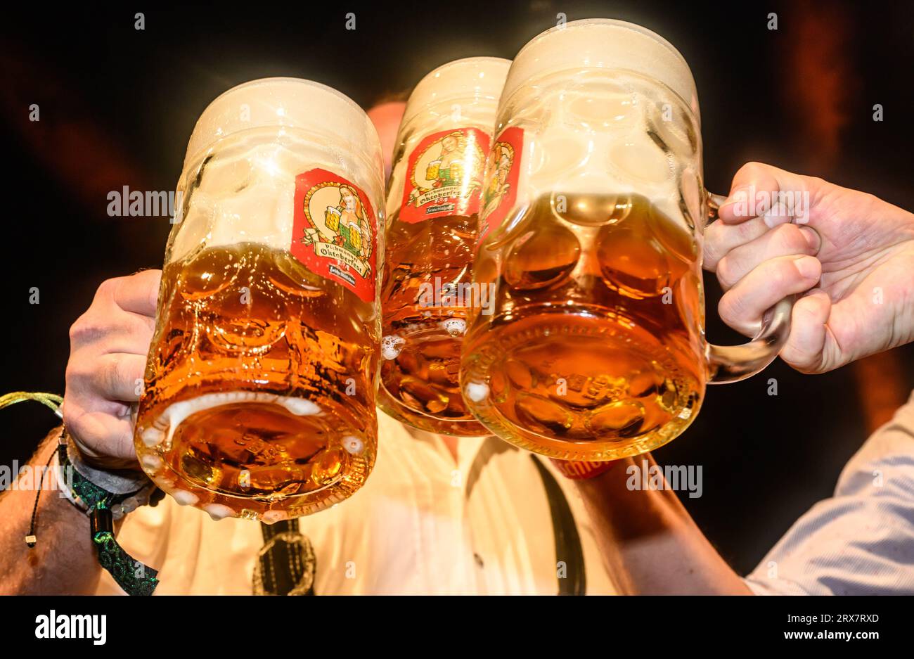 Dresde, Allemagne. 21 septembre 2023. Avec des tasses de bière est grillé à la dégustation traditionnelle de la Dresde Oktoberfest. La 9e édition de l’Oktoberfest de Pichmännel aura lieu sur le terrain du festival Rinne Dresden et aura une capacité d’accueil de 50 000 visiteurs du 21 septembre au 7 octobre 2023. Crédit : Robert Michael/dpa/Alamy Live News Banque D'Images