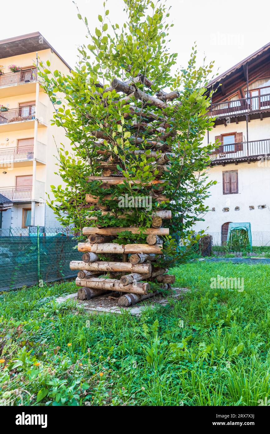 Mezzano - piles de bois - Liceo Artistico G. Soraperra di Pozza di Fassa - 'pile de bois torsadée - pollution' (2016-2019) Banque D'Images