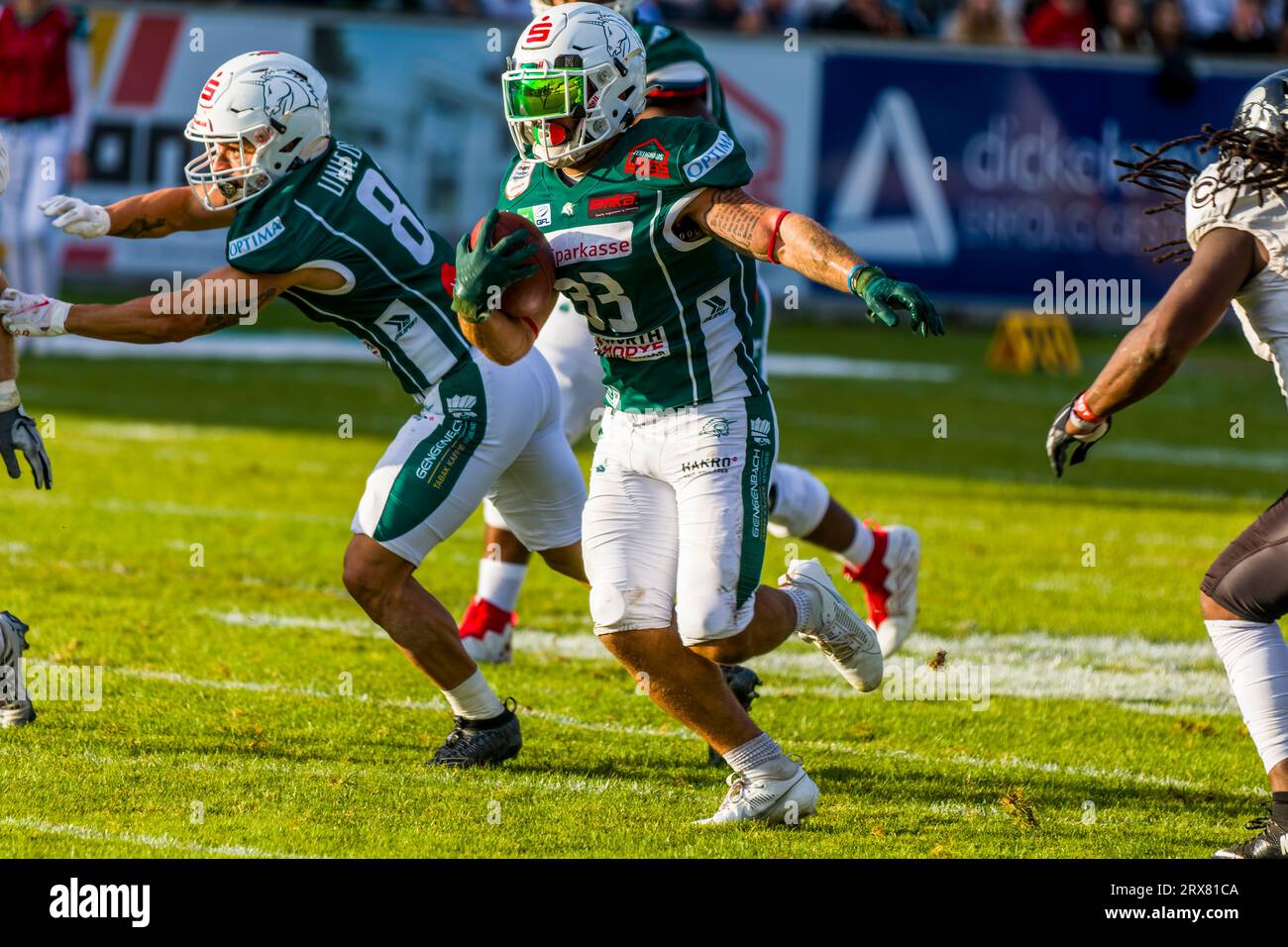 Schwaebisch Hall Allemagne. 23 septembre 2023. Erima GFL / Ligue allemande de football,Viertelfinal match : Schwäbisch Hall Unicorns - Berlin Rebels dans l'Optima Sportpark à Schwaebisch Hall Allemagne sur 23. 09. 2023, RB # 33 Mike Gentili / Schwaebisch Hall Unicorns crédit : Frank Baumert / Alamy Live News Banque D'Images