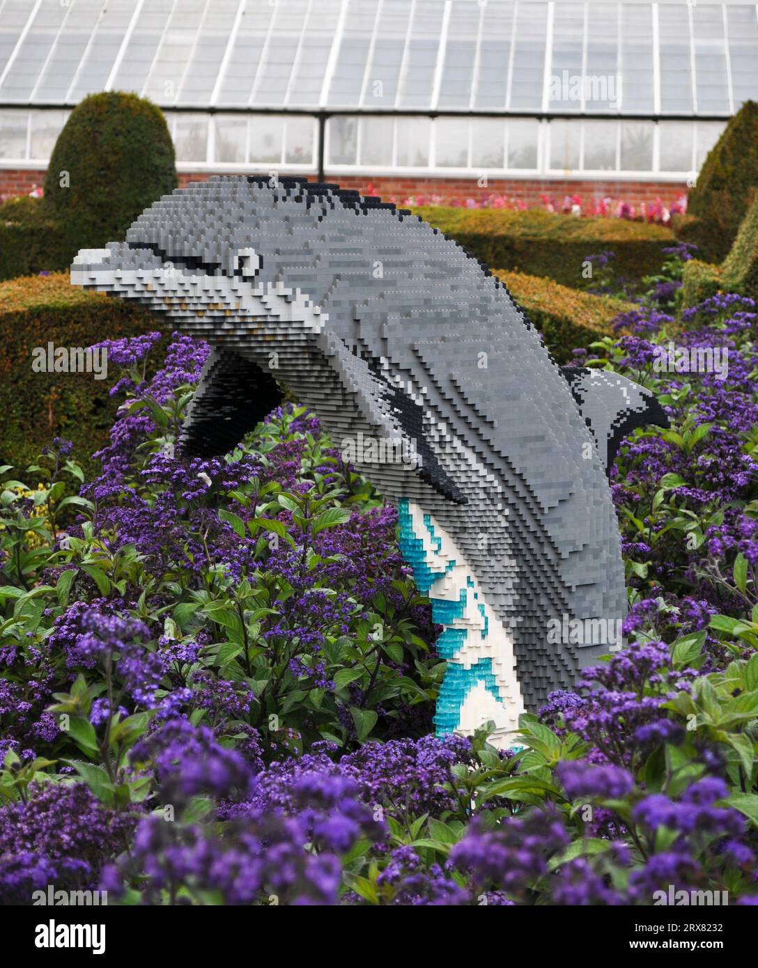 Sculpture en briques LEGO d'animaux en voie de disparition du monde entier - exposée à Sewerby Gardens, East Yorkshire, Angleterre. Création Dolphin Banque D'Images