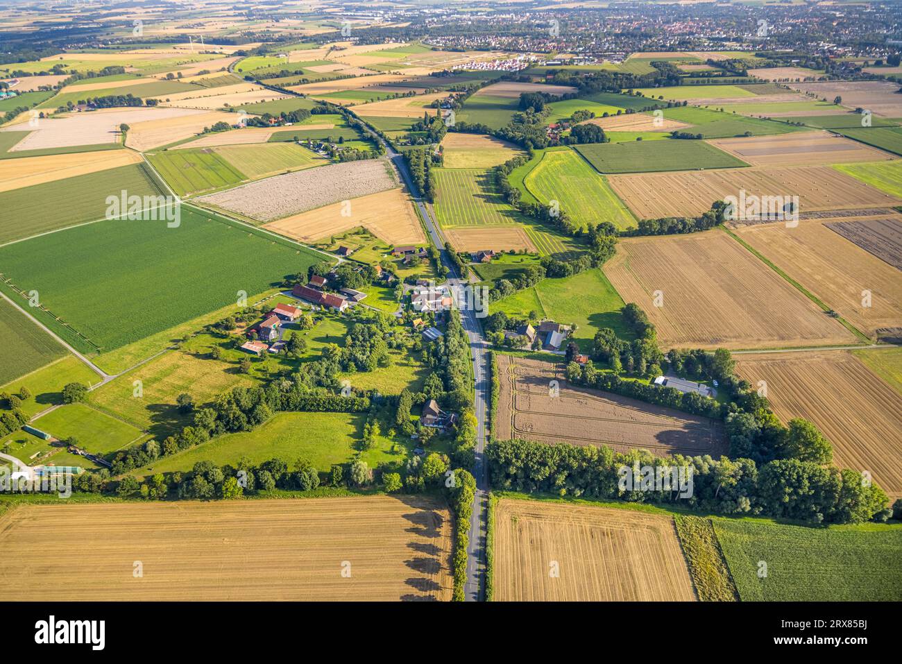 Vue aérienne, quartier de Lühringsen, Oestinghauser Landstraße, prairies et champs, Lühringsen, Soest, Soester Börde, Rhénanie du Nord-Westphalie, Allemagne, B47 Banque D'Images