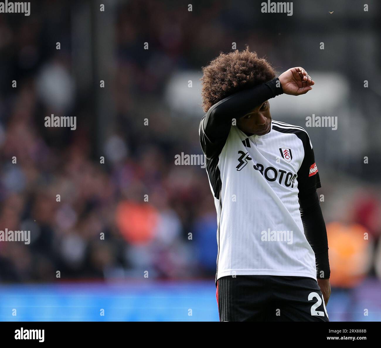 Londres, Royaume-Uni. 23 septembre 2023. Willian de Fulham lors du match de Premier League à Selhurst Park, Londres. Le crédit photo devrait se lire : David Klein/Sportimage crédit : Sportimage Ltd/Alamy Live News Banque D'Images