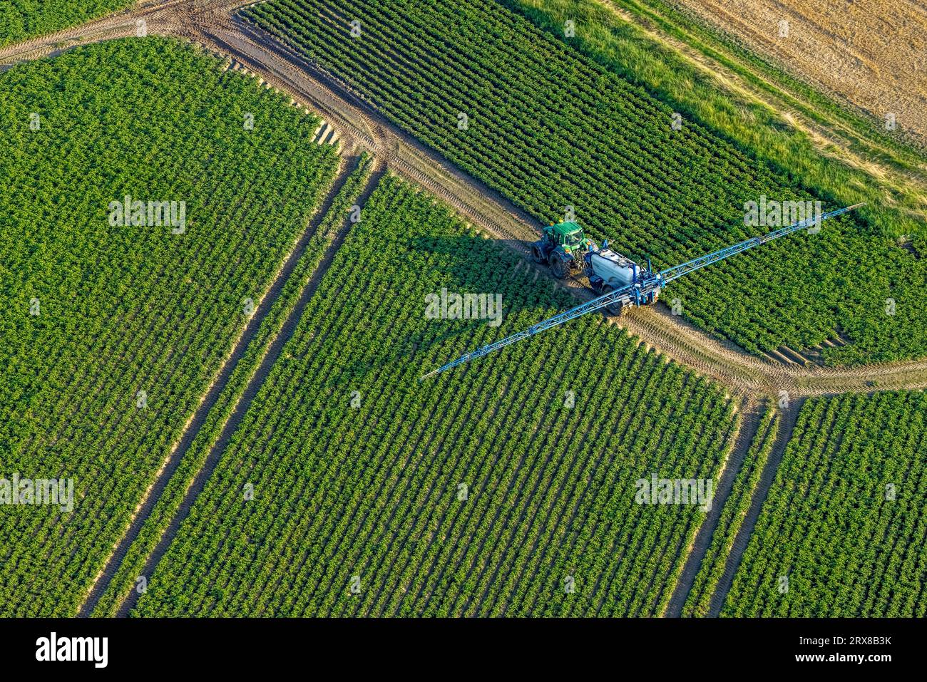 Vue aérienne, travail sur le terrain avec des machines agricoles, champs de pulvérisation, Sönnern, Werl, Werl-Unnaer Börde, Rhénanie du Nord-Westphalie, Allemagne, agricole Banque D'Images