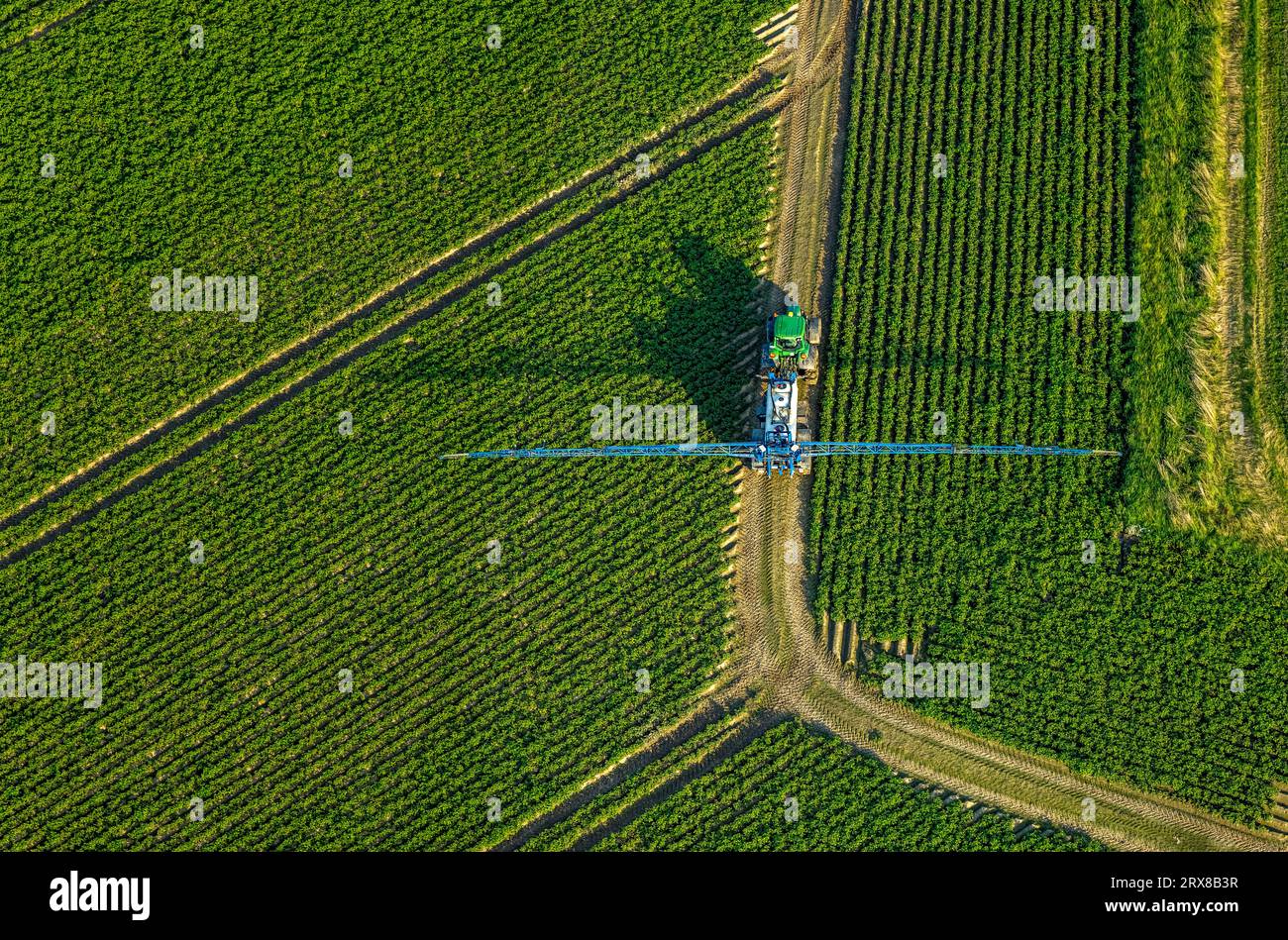 Vue aérienne, travail sur le terrain avec des machines agricoles, champs de pulvérisation, Sönnern, Werl, Werl-Unnaer Börde, Rhénanie du Nord-Westphalie, Allemagne, agricole Banque D'Images