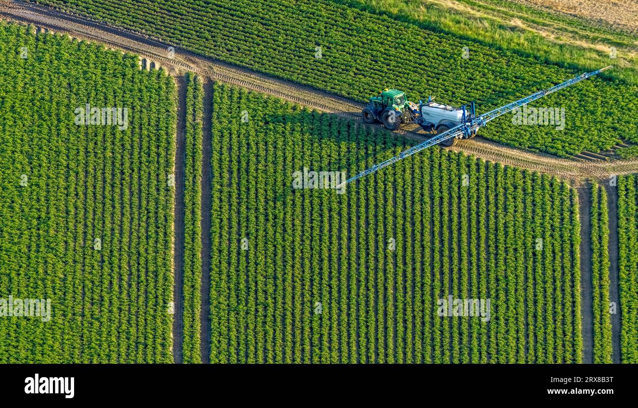Vue aérienne, travail sur le terrain avec des machines agricoles, champs de pulvérisation, Sönnern, Werl, Werl-Unnaer Börde, Rhénanie du Nord-Westphalie, Allemagne, agricole Banque D'Images