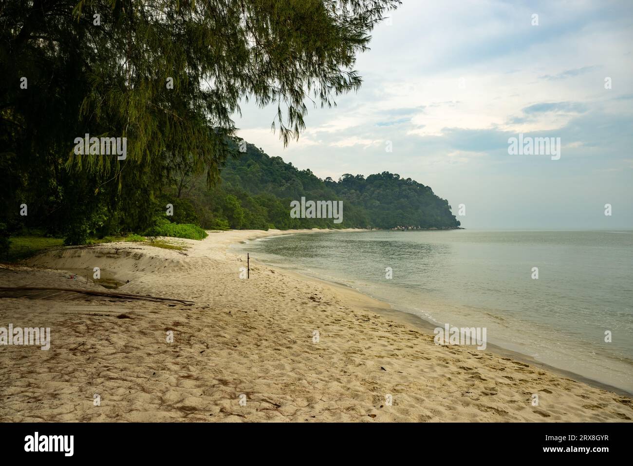 Teluk Kampi, Taman Negara Pulau Pinang, Malaisie Banque D'Images