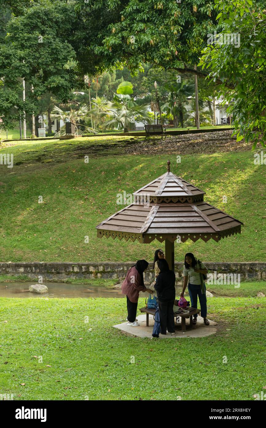 Les jardins botaniques de Penang, Pulau Pinang, Malaisie Banque D'Images