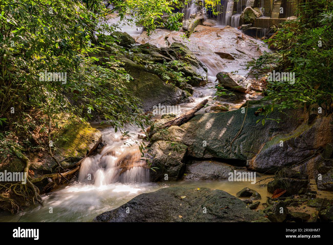 La cascade des jardins botaniques de Penang, Pulau Pinang, Malaisie Banque D'Images