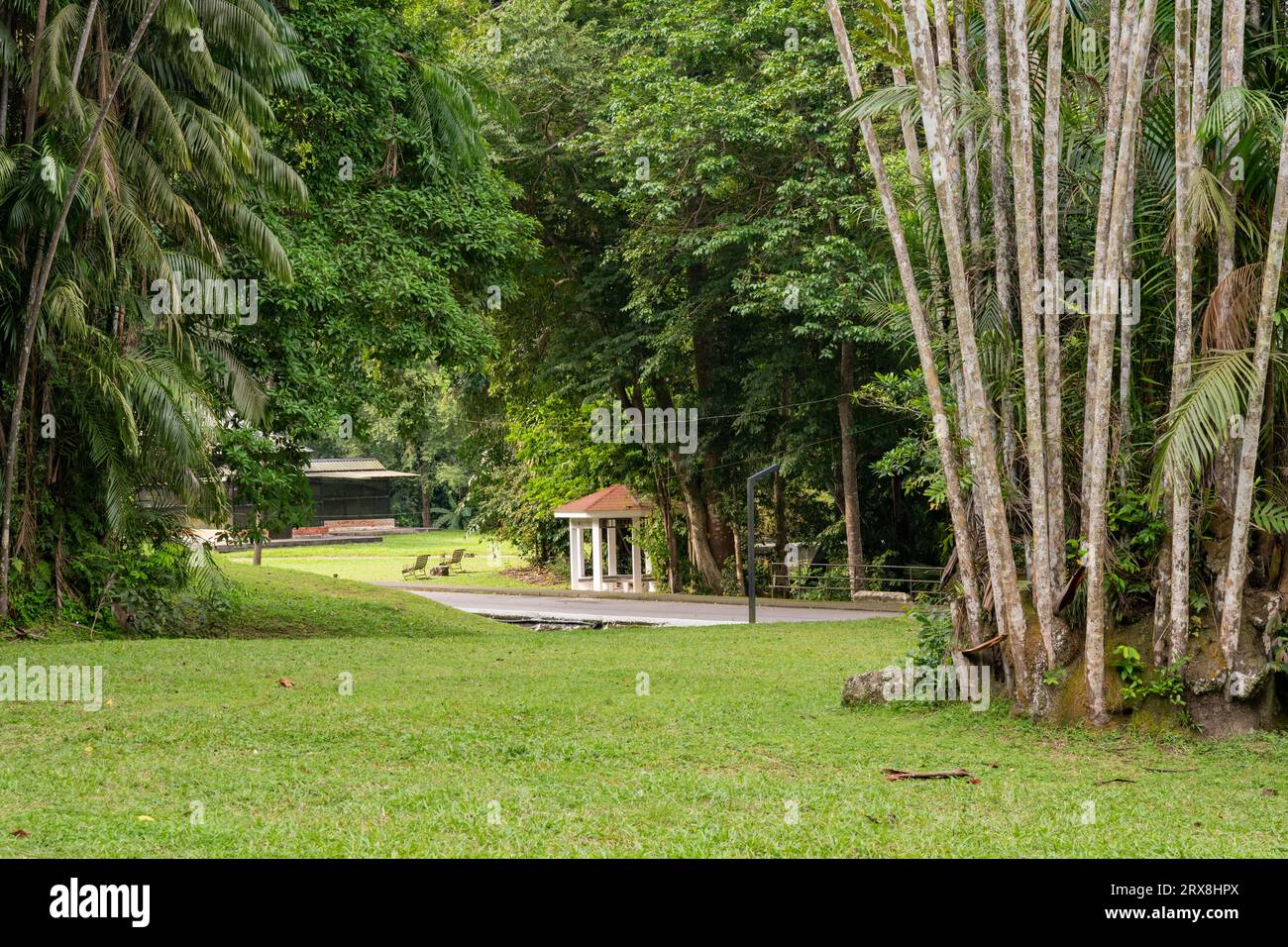 Les jardins botaniques de Penang, Pulau Pinang, Malaisie Banque D'Images