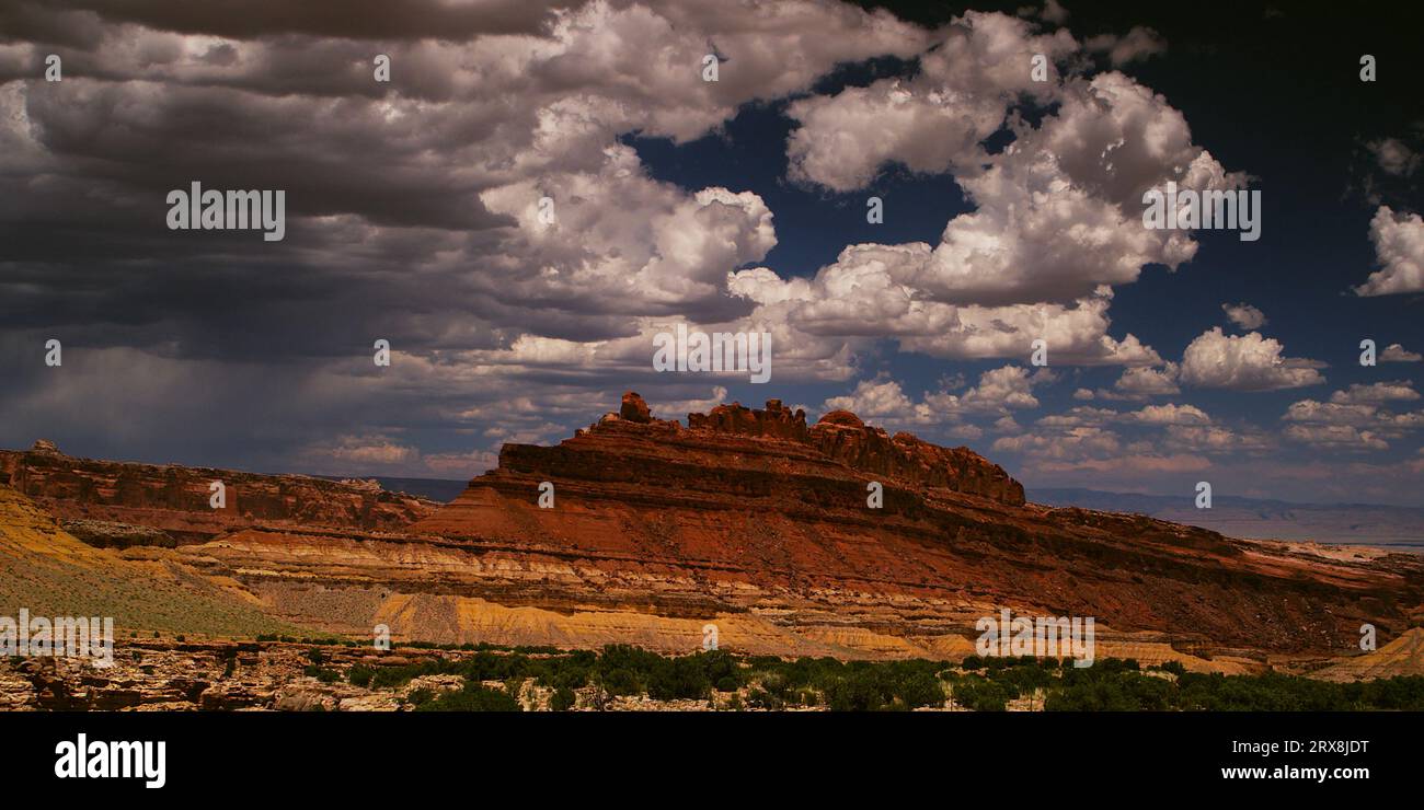 Des cumulus de rêve flottent au-dessus de la houle de San Rafael, dans l'Utah, par une journée d'été idyllique. Banque D'Images