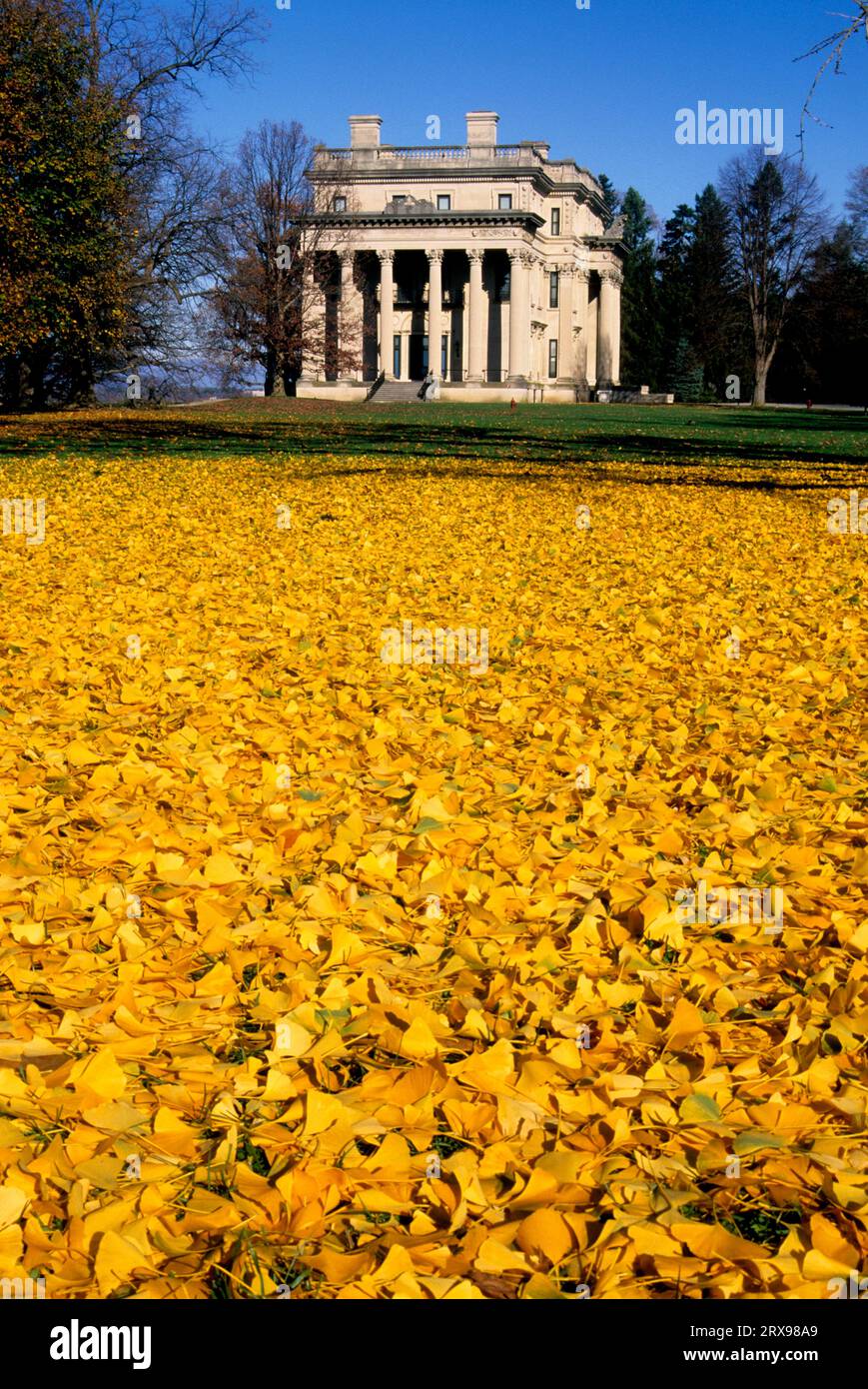 Vanderbilt Mansion avec des feuilles de ginko en automne, Vanderbilt Mansion National Historic site, New York Banque D'Images