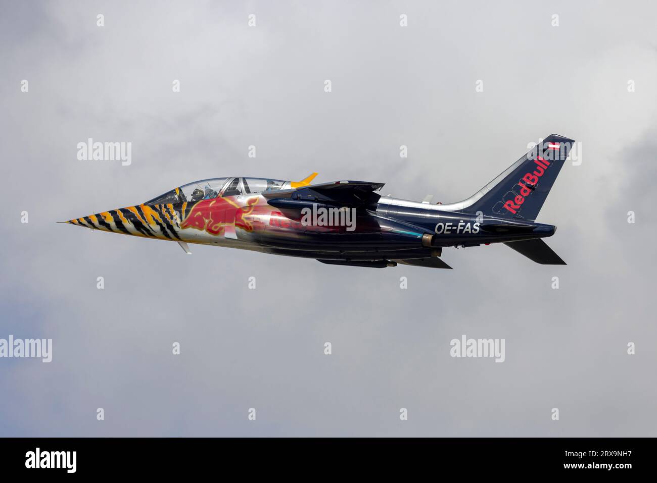 Red Bull (The Flying Bulls) Dassault-Dornier Alpha Jet (REG : OE-FAS) décolle pour la première fois pour MIA 2023. Banque D'Images
