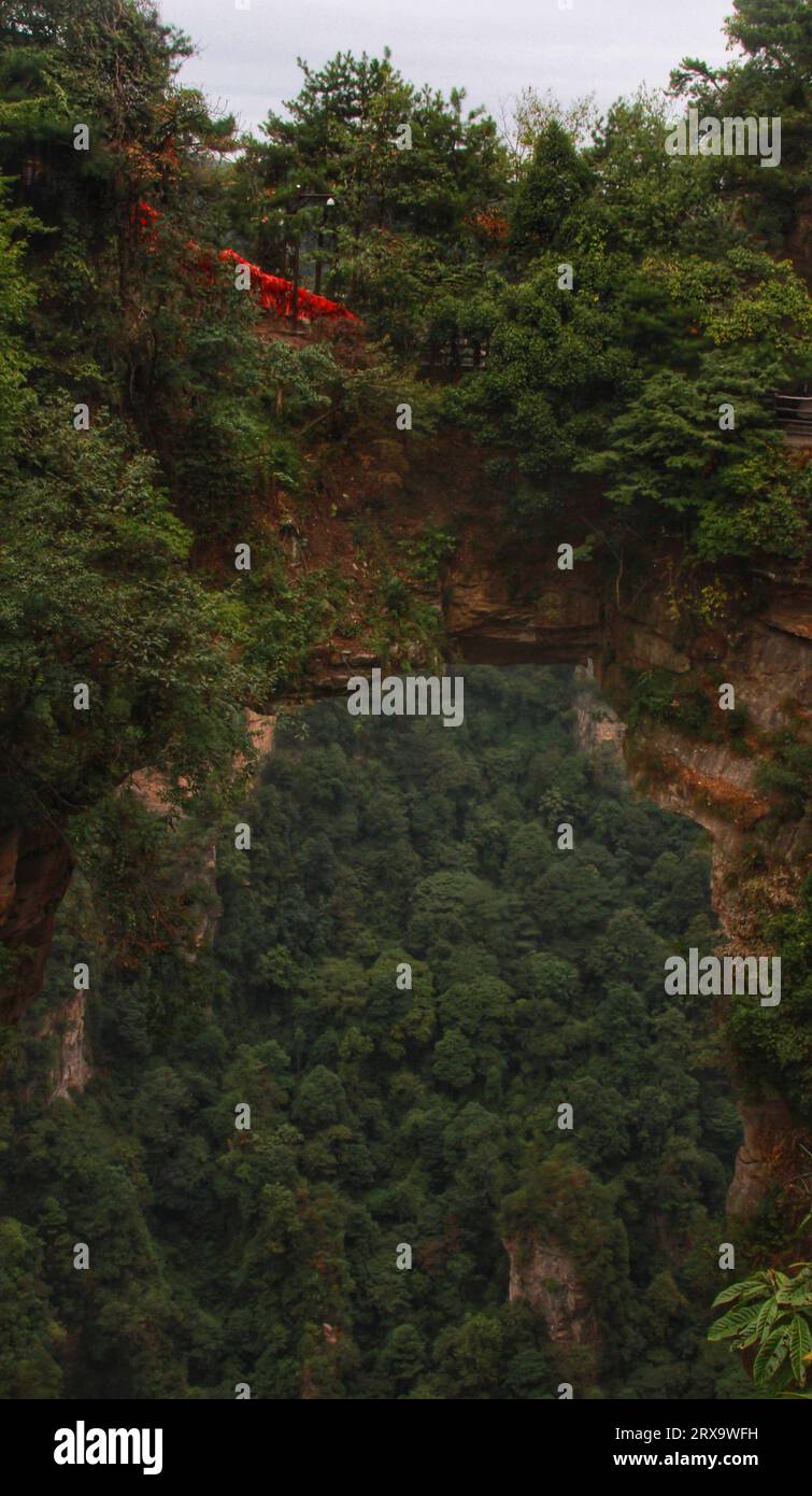 Capturez la beauté à couper le souffle d'une nature verdoyante nichée dans l'étreinte de montagnes imposantes sous un ciel nuageux Banque D'Images