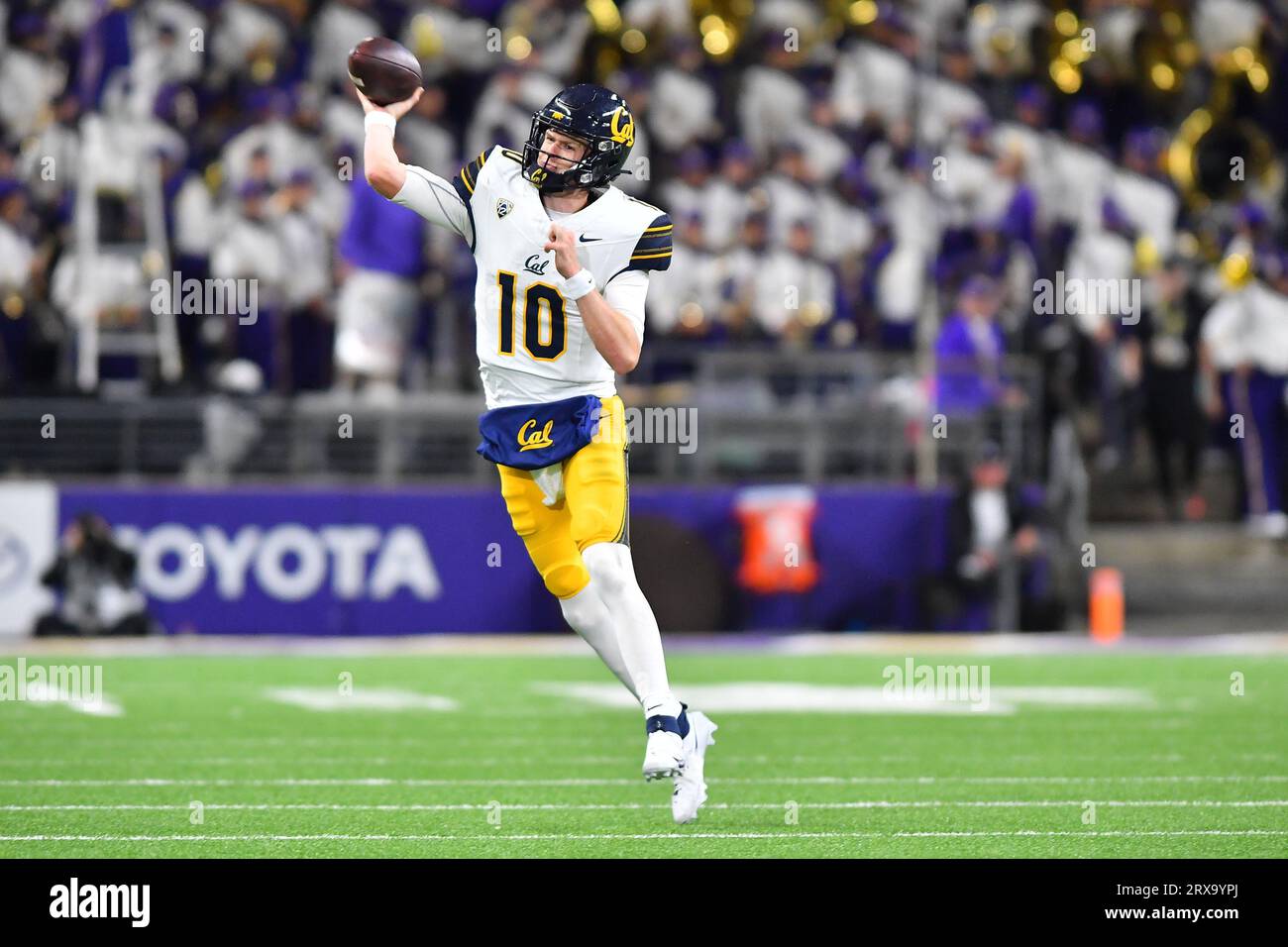 Seattle, WA, États-Unis. 23 septembre 2023. Le quarterback des Golden Bears de Californie Ben Finley (10) se déroule et lance lors du match de football de la NCAA entre les Cal Bears et les Washington Huskies au Husky Stadium de Seattle, WA. Steve Faber/CSM/Alamy Live News crédit : CAL Sport Media/Alamy Live News Banque D'Images