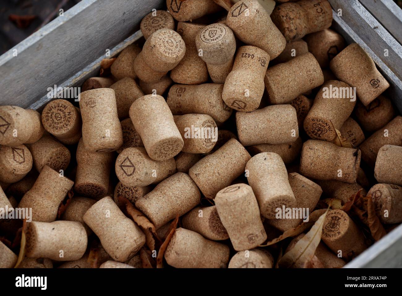 Bouchons de bouteille de vin sur la photo à Chichester, West Sussex, Royaume-Uni. Banque D'Images