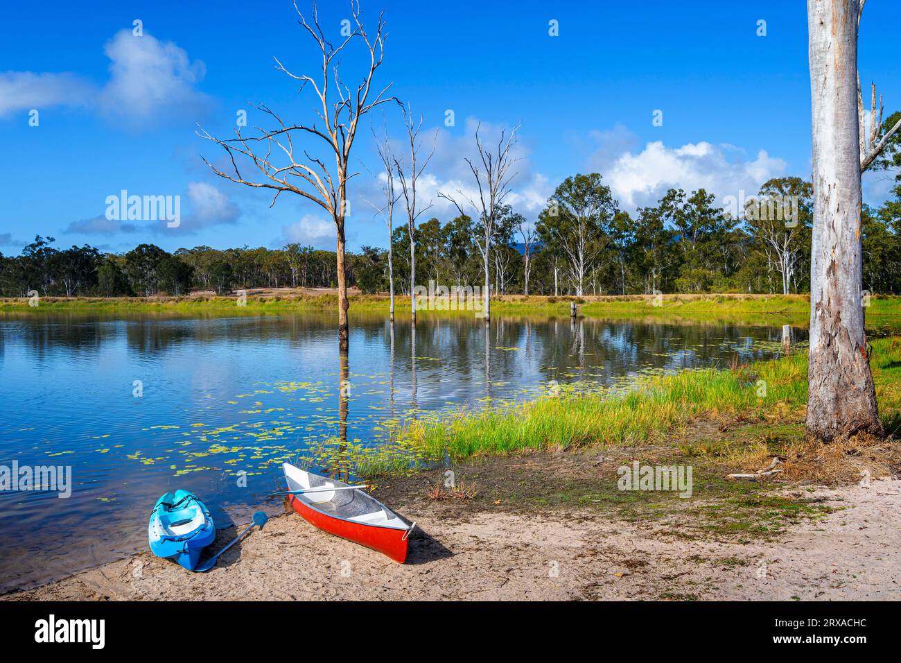 Kayaks sur la plage de sable de barrage d'eau douce par jetée avec ponton sur la journée ensoleillée au camp rural séjour. Childers Queensland, Australie Banque D'Images