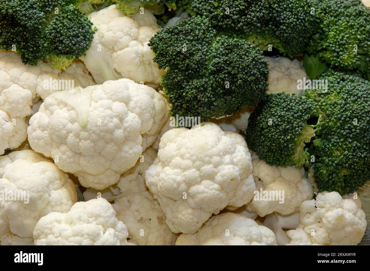 Chou-fleur (Brassica oleracea var. botrytis) et brocoli (Brassica oleracea var. Italica), Romanesco Banque D'Images