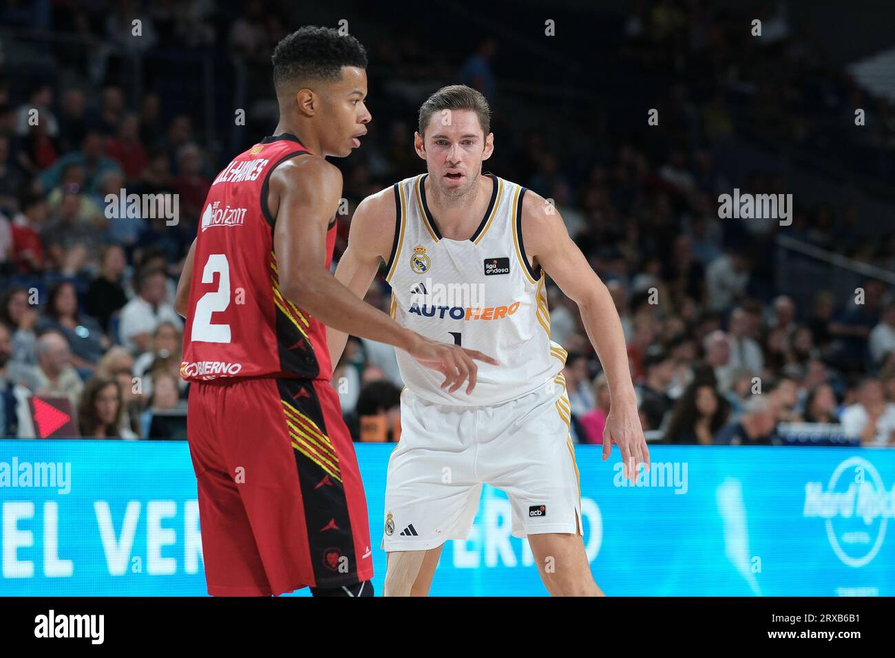 Madrid, Espagne. 24 septembre 2023. Fabien Causeur du Real Madrid lors du match de Ligue ACB entre le Real Madrid et le Basquet Zaragoza au WiZink Center le 24 septembre 2023 à Madrid, Espagne. (Photo Oscar Gonzalez/Sipa USA) (photo Oscar Gonzalez/Sipa USA) crédit : SIPA USA/Alamy Live News Banque D'Images