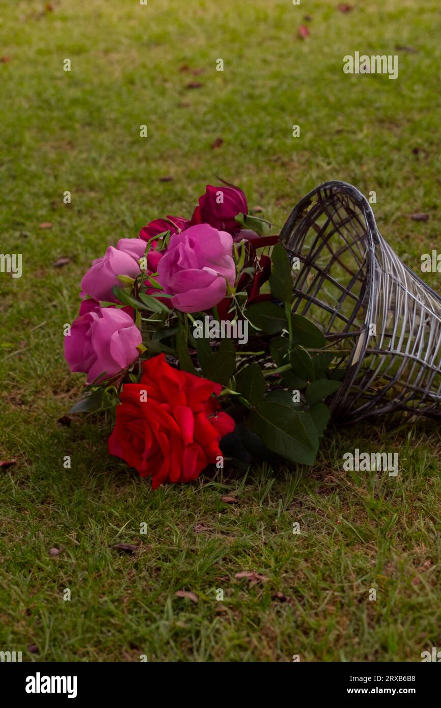 Bouquet de roses dans un panier en osier tombé Banque D'Images