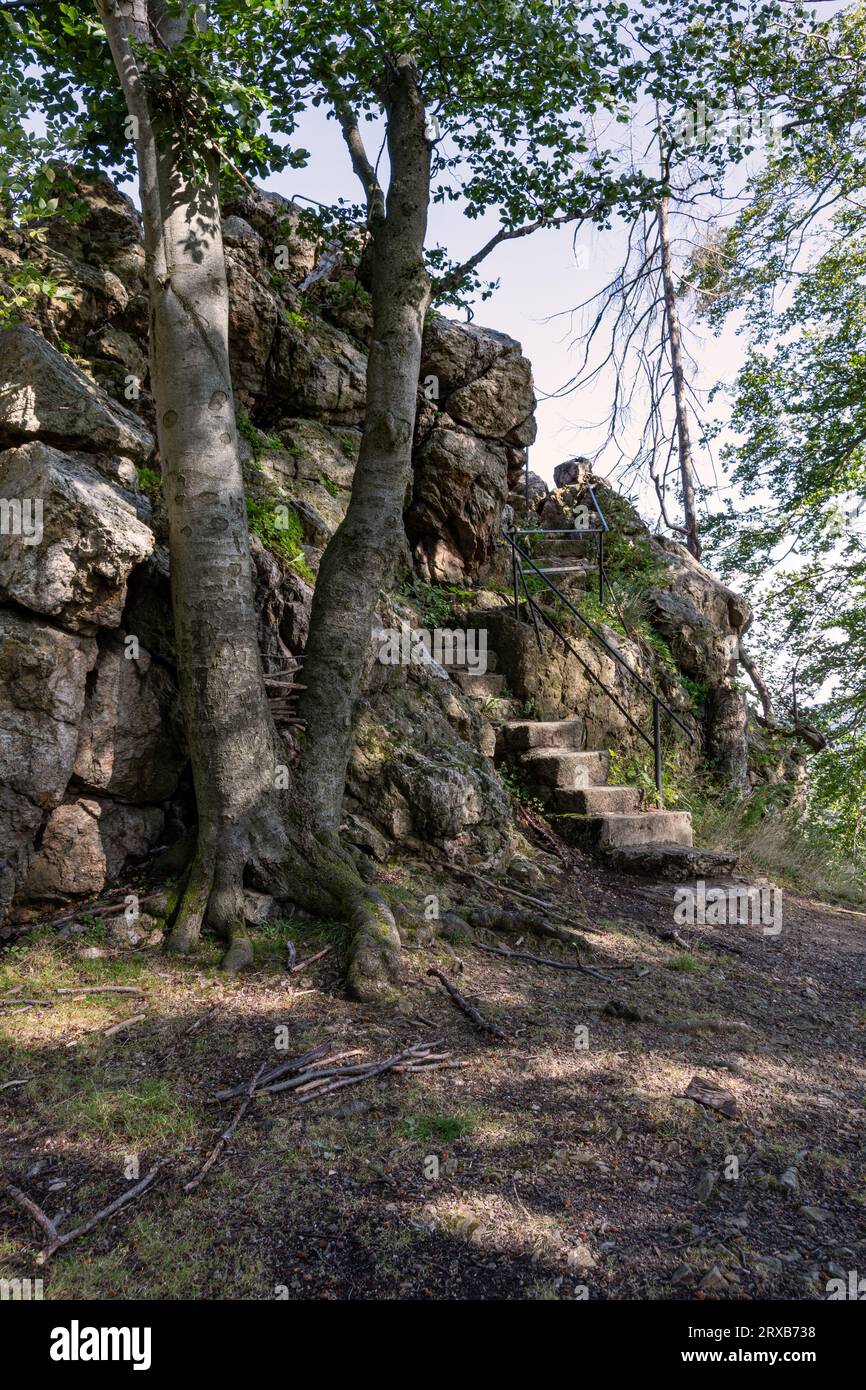 Marches en pierre menant à l'Elfenstein près de Bad Harzburg dans le Harz Banque D'Images
