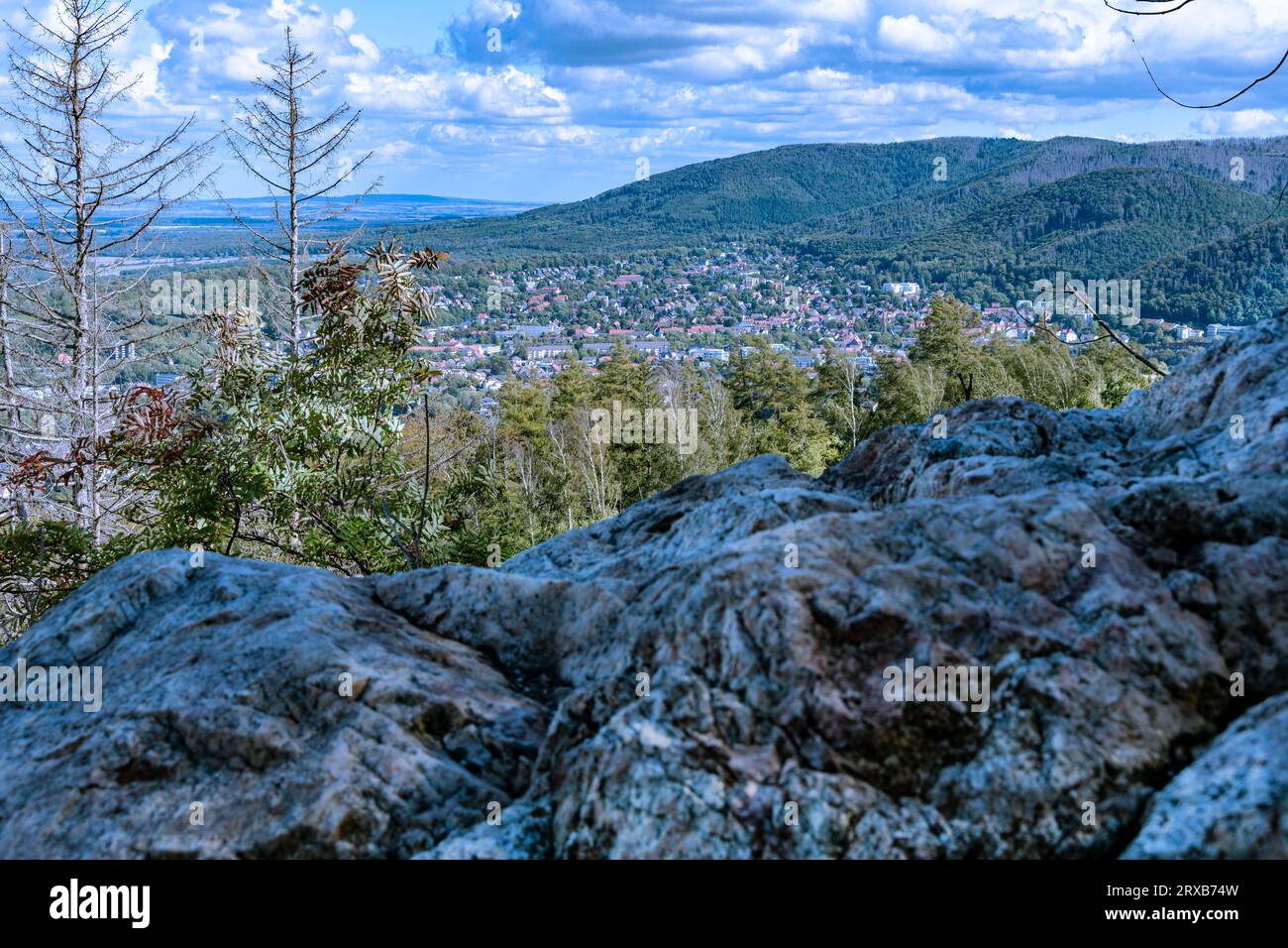 Vom Rand einer freien Stelle am Berg, viel Grün belebt den Vordergrund. Dann fällt der Blick auf Bad Harzburg im Tal. Die Berge drum sind bewalde Banque D'Images Vom Rand einer freien Stelle am Berg, viel Grün belebt den Vordergrund. Dann fällt der Blick auf Bad Harzburg im Tal. Die Berge drum sind bewalde Banque D'Images