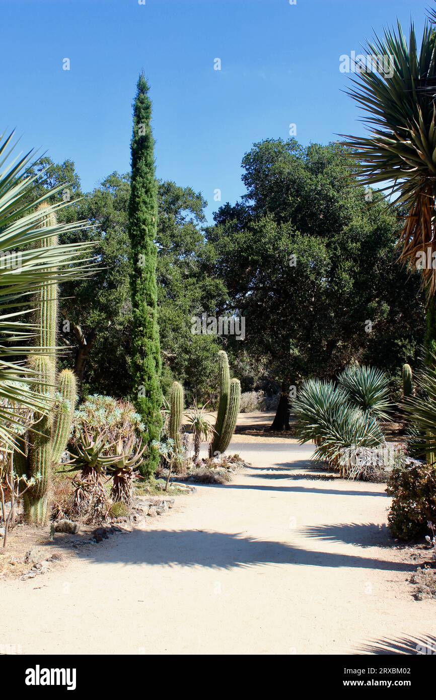 Arizona Garden, Stanford University, Californie Banque D'Images