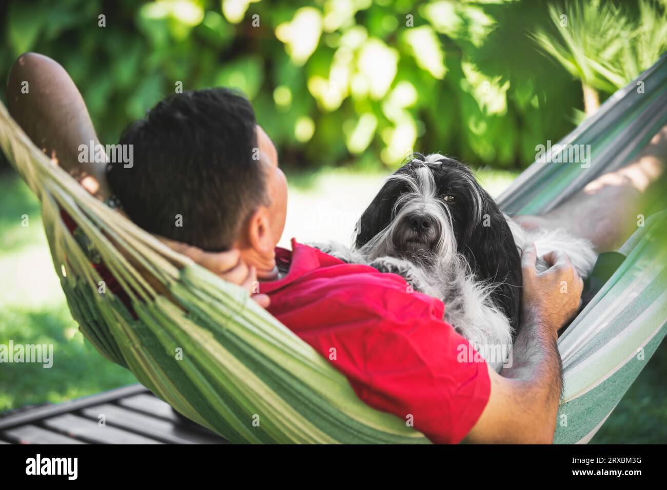Chien terrier tibétain et homme allongent dans un hamac ensemble. Homme et son beau chien allongé sur hamac dans la campagne relaxant pendant la journée Banque D'Images